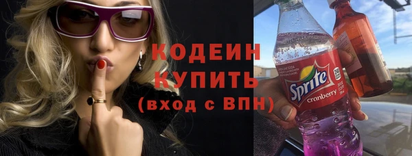 мдпв Верхний Тагил