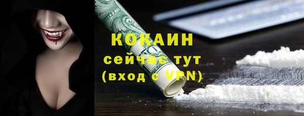 мдпв Верхний Тагил