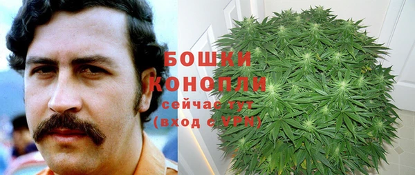 мдпв Верхний Тагил
