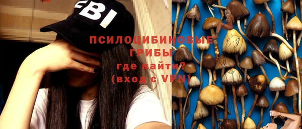 мдпв Верхний Тагил
