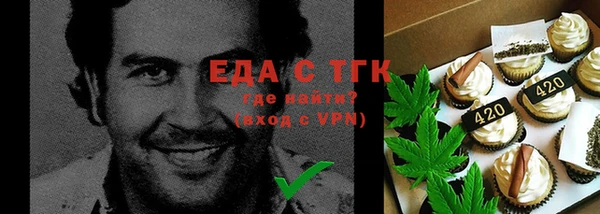 мдпв Верхний Тагил
