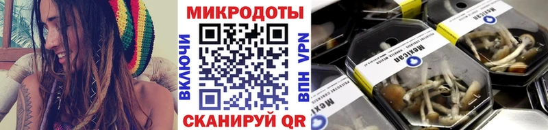 KRAKEN вход  наркотики  Заринск  Псилоцибиновые грибы Cubensis 