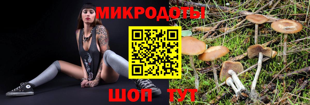 Заринск  Псилоцибиновые грибы мицелий  Вход с VPN 