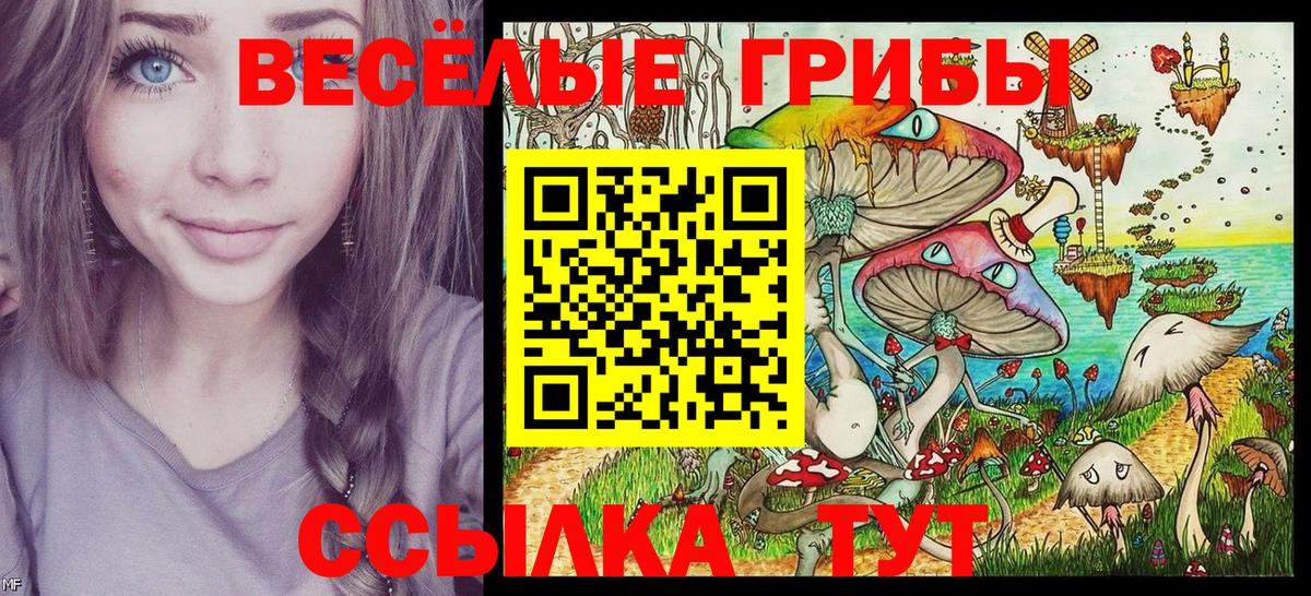 Галлюциногенные грибы Magic Shrooms Заринск